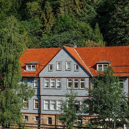 Fewo-Lerbachtal Osterode am Harz Esterno foto