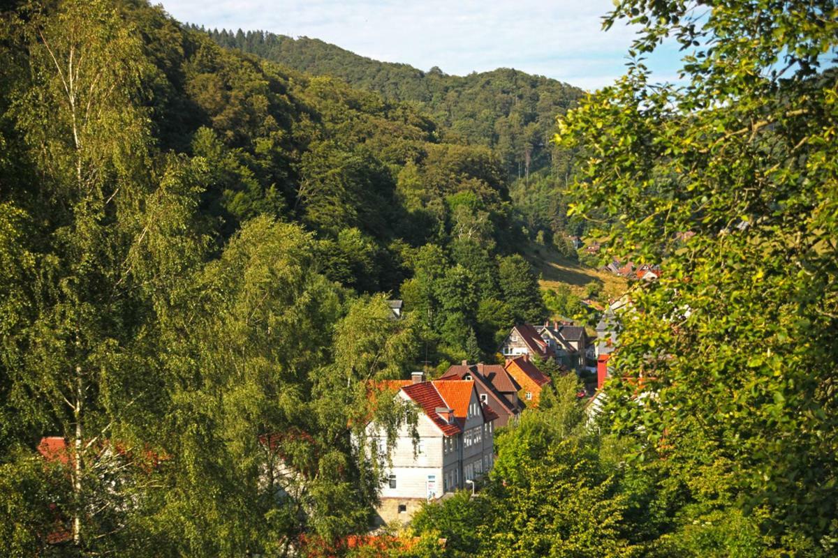 Fewo-Lerbachtal Osterode am Harz Esterno foto