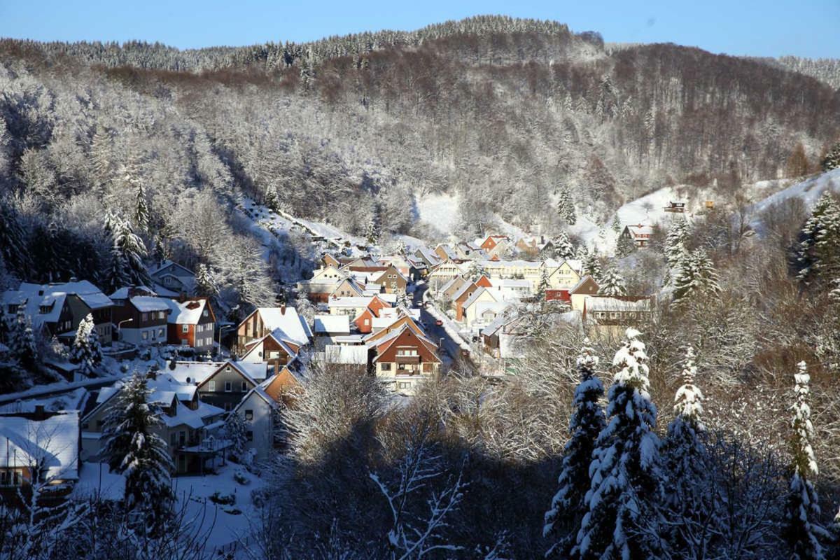 Fewo-Lerbachtal Osterode am Harz Esterno foto