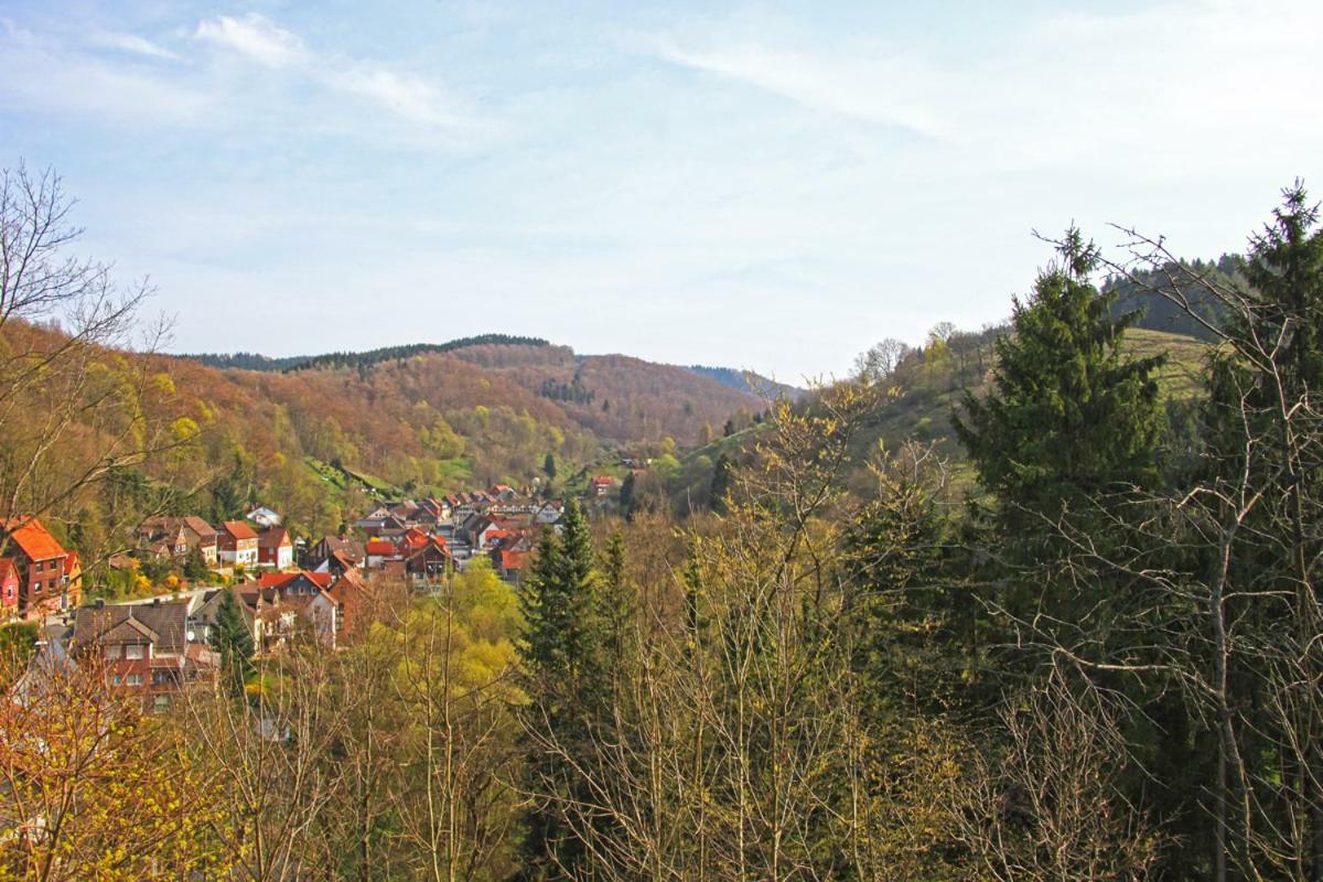 Fewo-Lerbachtal Osterode am Harz Esterno foto