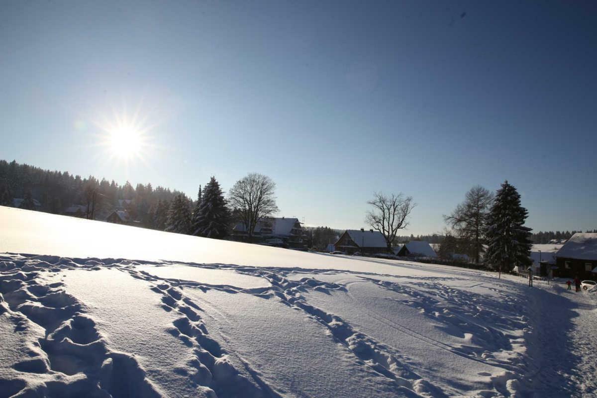 Fewo-Lerbachtal Osterode am Harz Esterno foto