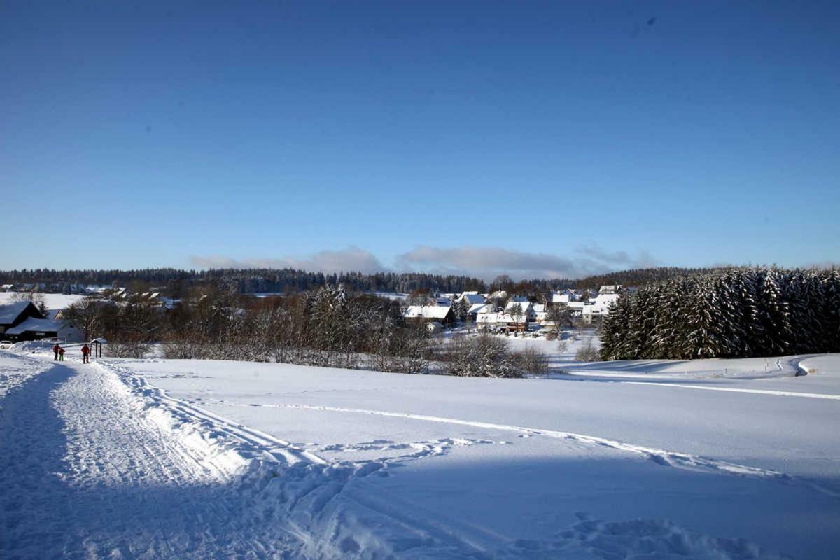 Fewo-Lerbachtal Osterode am Harz Esterno foto